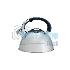 Чайник для плиты ALPENKOK AK-531 3 л