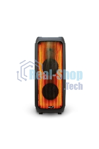 Колонка Eltronic 10