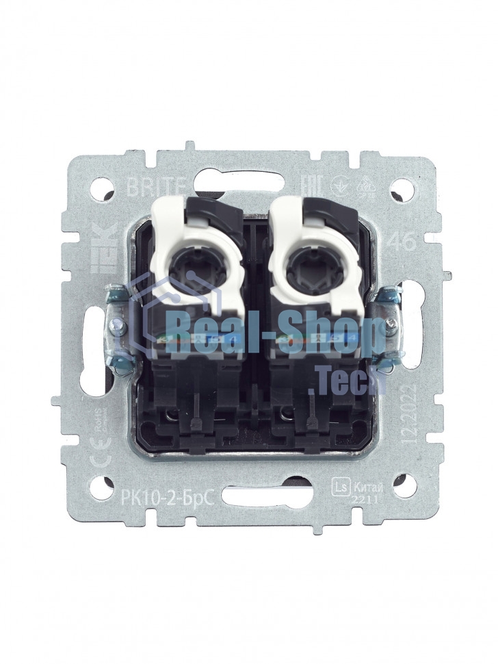 Розетка компьютерная двойная IEK BRITE РК10-2-БрС RJ45 кат.5E сталь