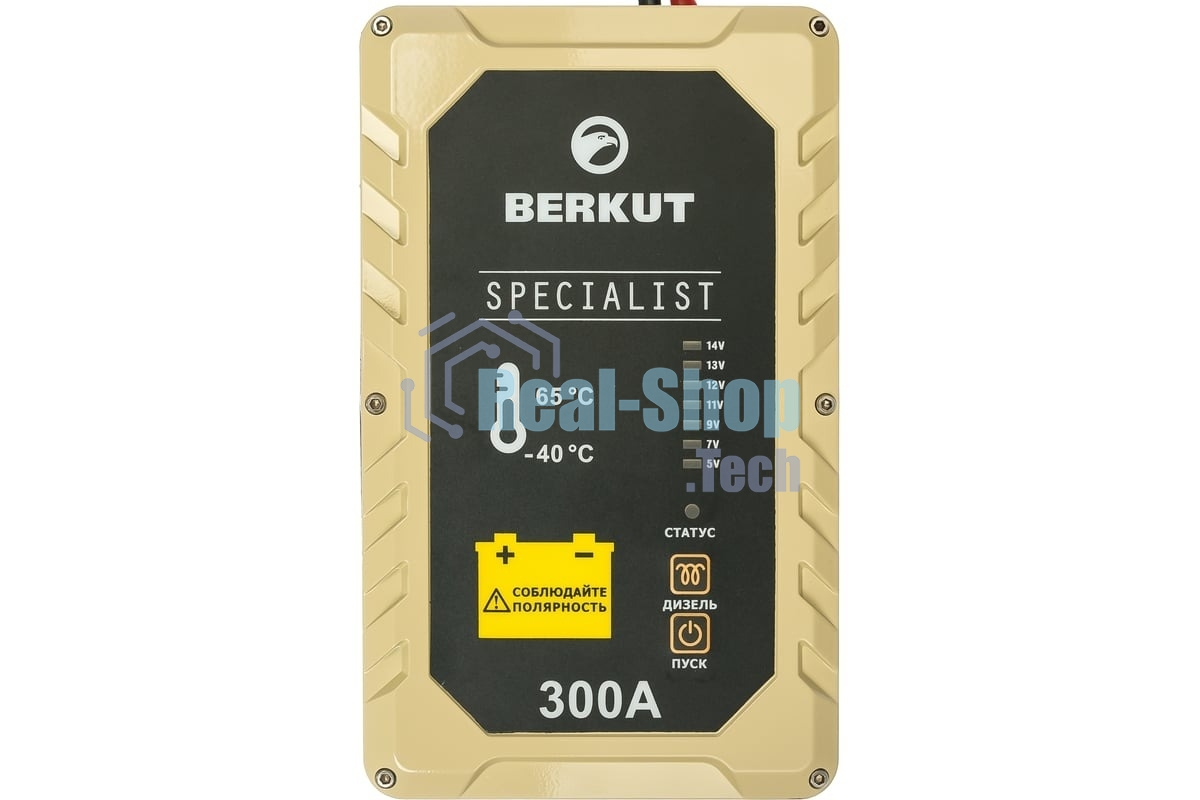 Пуско-зарядное устройство Berkut JSC300С