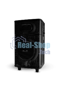 Колонка ELTRONIC (30-82) SKILLETS BOX 1000 - 10 