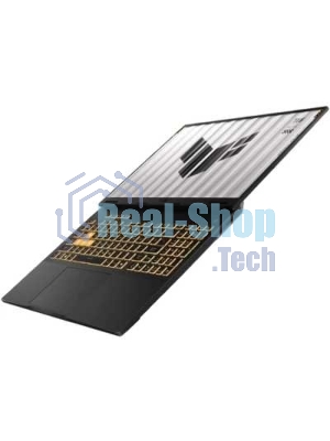 Ноутбук ASUS TUF F16 FX608JHR-RV101 16