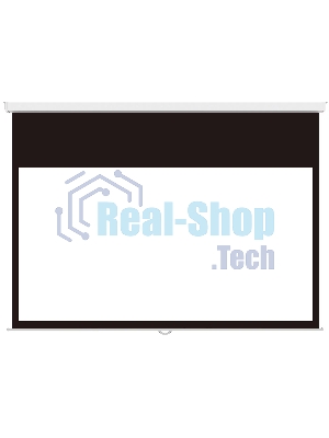Настенный экран Lumien Master Picture CSR 195x276см (раб.область 150х266 см) (120