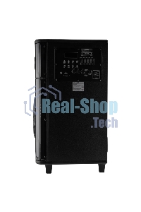 Колонка ELTRONIC (30-82) SKILLETS BOX 1000 - 10 