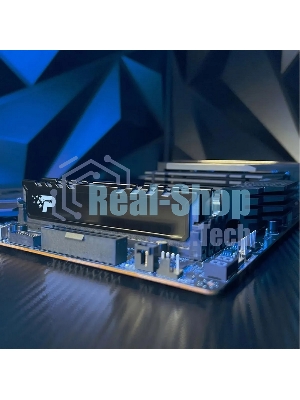 Оперативная память Patriot Signature Premium, DDR5, 32GB (2x16 GB), 4800 MHz, CL40, DIMM, радиатор, черный