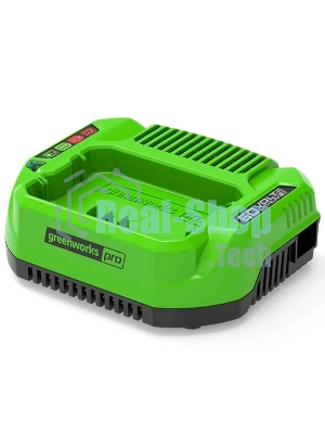 Зарядное устройство GreenWorks 60V (2932007)