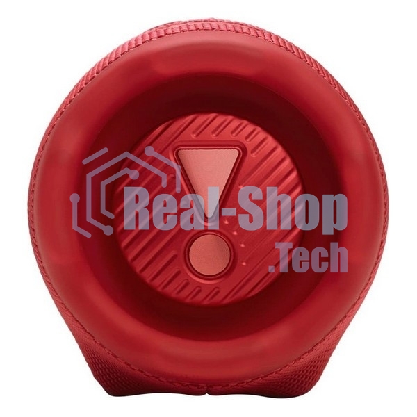 Портативная колонка JBLCHARGE6RED красный