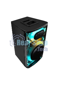 Колонка ELTRONIC (30-82) SKILLETS BOX 1000 - 10 