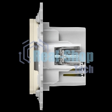 Розетка USB A+A 2,1А РЮ-2-ФлСл сливочный FLITE