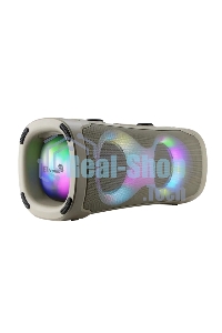 Акустическая колонка ELTRONIC (30-85) DANCE BOX 900 - колонка 06