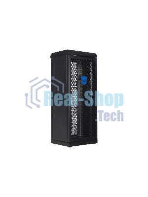 Шкаф сувенирный ЦМО ШТК-СП-С-8.1.1-9005, серверный