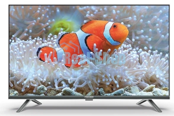 Телевизор PREMIER 55