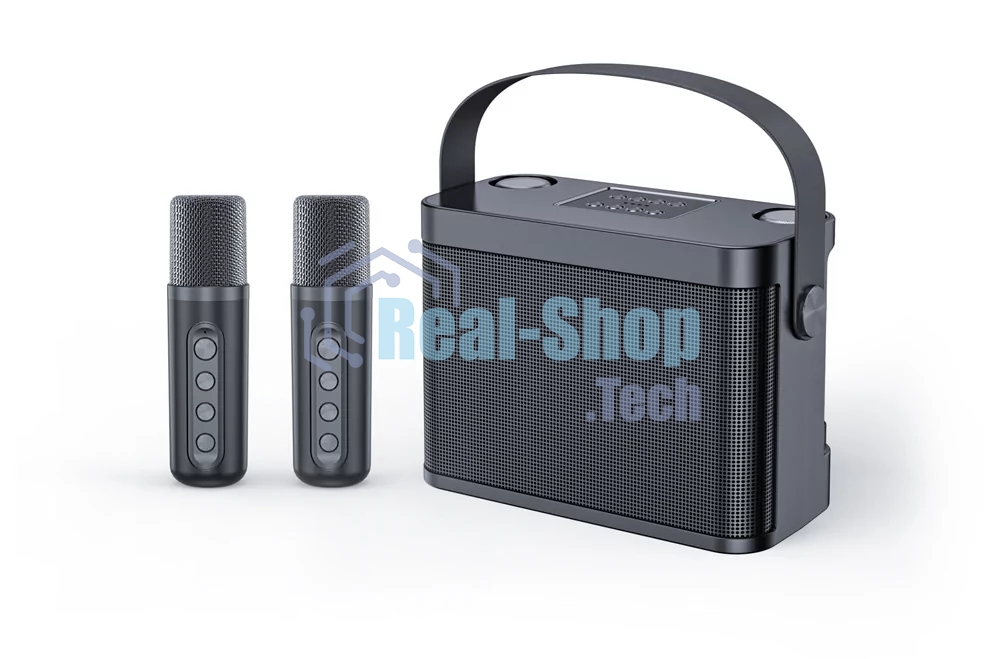 Переносная караоке система TRS2404 iconBIT K802B Колонка 10Вт, 2 микрофона Bluetooth, аккумулятор в колонке 3000mAh и микрофонах, 22.3*9.6*15.7CM/16*10*20.2CM, черный