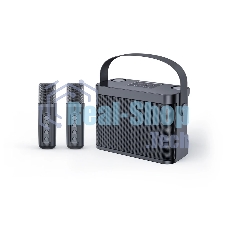 Переносная караоке система TRS2404 iconBIT K802B Колонка 10Вт, 2 микрофона Bluetooth, аккумулятор в колонке 3000mAh и микрофонах, 22.3*9.6*15.7CM/16*10*20.2CM, черный