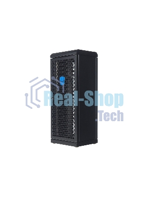 Шкаф сувенирный ЦМО ШТК-СП-С-8.1.1-9005, серверный