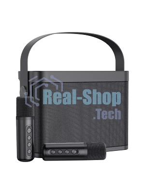 Переносная караоке система TRS2404 iconBIT K802B Колонка 10Вт, 2 микрофона Bluetooth, аккумулятор в колонке 3000mAh и микрофонах, 22.3*9.6*15.7CM/16*10*20.2CM, черный