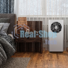 Кондиционер мобильный Ballu Orbis BPAC-09 OR/N6