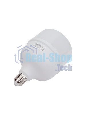 Лампа светодиодная Ergolux 14329 LED-HW-50W-E40-6K PRO 50Вт E27/E40 6500К 150-260В
