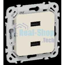 Розетка USB A+A 2,1А РЮ-2-ФлСл сливочный FLITE
