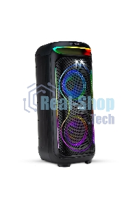 Колонка Eltronic 08