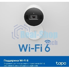 Камера видеонаблюдения умная с искусственным интеллектом TP-Link Tapo C125, 2K QHD (2560 × 1440), Wi-Fi (2,4 ГГц)