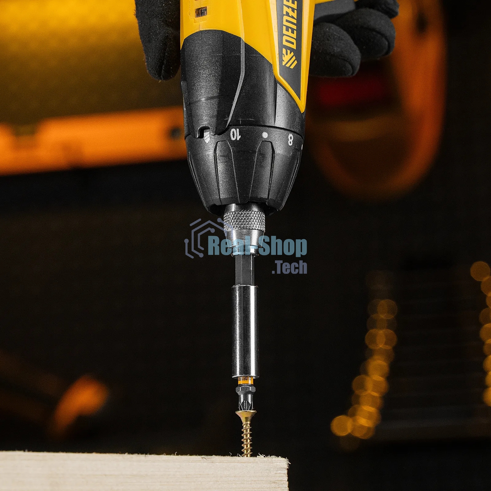 Набор бит Denzel PZ1х25, сталь S2, шестигранный профиль, 10 шт.