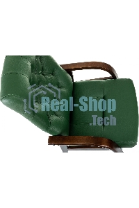 Кресло офисное Бюрократ T-9928WALNUT-CF, зеленый, кожа, на ножках, дерево