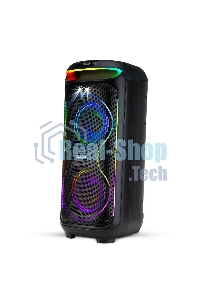 Колонка Eltronic 08