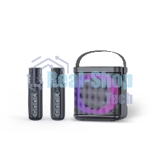 Переносная караоке система TRS2406 iconBIT K702B Колонка 10Вт, 2 микрофона Bluetooth, подсвктка, с аккумулятор в колонке 1500mAh и микрофонах, 16*12*16.7 CM, черный