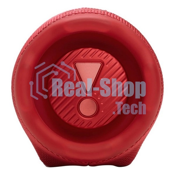 Портативная колонка JBLCHARGE6RED красный
