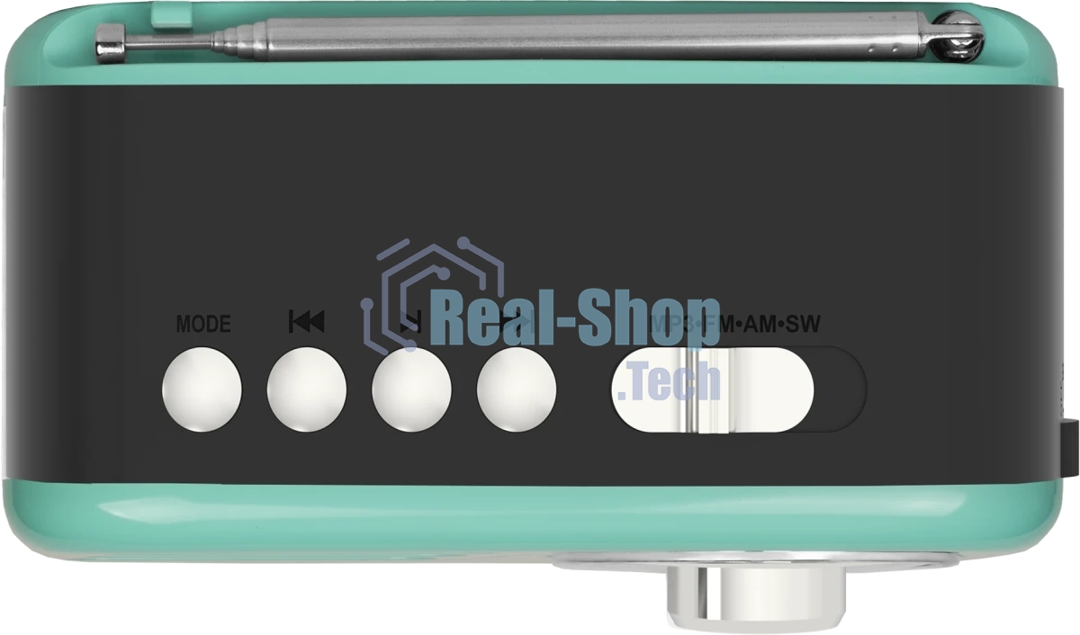 Радиоприемник Ritmix RPR-033 AZURE