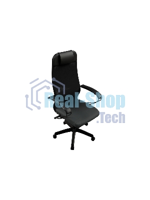Кресло компьютерное ErgoLife Set 11/подл.130/осн. Sit 001, черный 13E.12.1.222 z13E.12.1.222