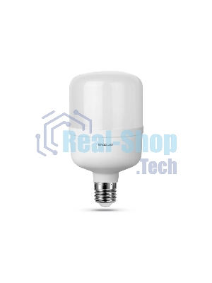 Лампа светодиодная ERGOLUX (14332) LED-HW-90W-E40-6K серия PRO