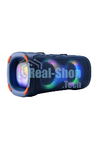 Акустическая колонка ELTRONIC (30-85) DANCE BOX 900 - колонка 06