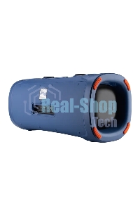 Акустическая колонка ELTRONIC (30-85) DANCE BOX 900 - колонка 06