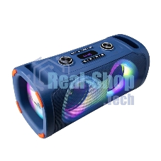 Акустическая колонка ELTRONIC (30-85) DANCE BOX 900 - колонка 06