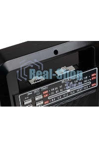 Радиоприемник портативный Сигнал Vikend Traveler черный USB SD/MMC