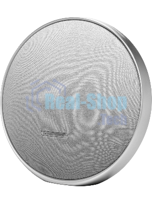 Портативная акустика Harman Kardon HKOS9GRYUK серый