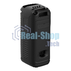 Акустика напольная Soundmax SM-MS4209 черный