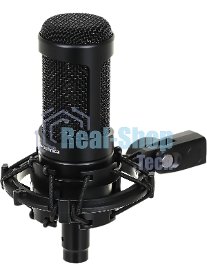 Микрофон проводной Audio-Technica AT2050 черный