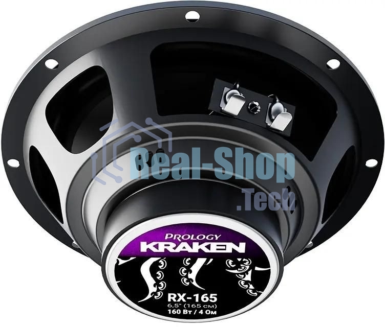 Колонки автомобильные Prology RX-165 160Вт 90дБ 4Ом 16см (6.5дюйм) (ком.:2кол.) коаксиальные двухполосные
