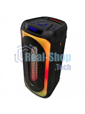 Портативная акустика BQ PBS1006 черный 25 Вт