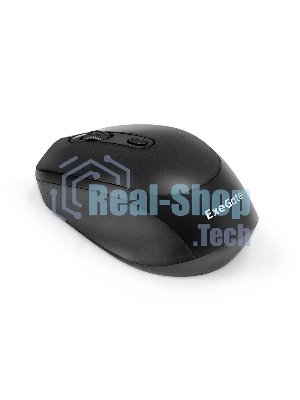 Мышь беспроводная ExeGate Professional Standard SR-9005 черный, 1200 dpi, радиоканал, USB, кнопки - 4