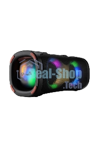 Акустическая колонка ELTRONIC (30-85) DANCE BOX 900 - колонка 06