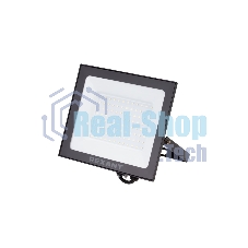 Прожектор светодиодный Rexant 605-005 100 Вт 200–260В IP65 8000 лм 6500 K холодный свет