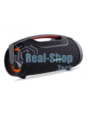 Портативная колонка SMARTBUY (SBS-5320) COMMANDER, черный