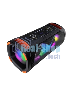 Акустическая колонка ELTRONIC (30-85) DANCE BOX 900 - колонка 06