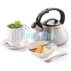 Чайник металлический Rondell Sieden RDS-088 3 л, стальной