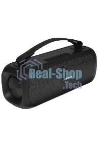 Портативная аудиосистема Telefunken TF-PS1281B (черный)