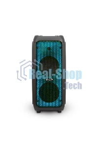 Колонка Eltronic FIRE BOX 08